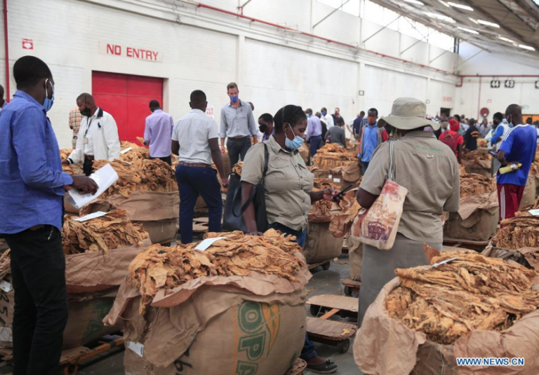 How the tobacco sector performed last season